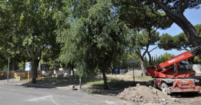 Copertina di Roma, ricorso al Tar contro la strage di alberi: “Abbattimenti anche nei cantieri della metro C. Aggirata la legge con la scusa dei trapianti”