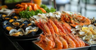 Copertina di Allarme epatite A in Campania: 133 casi confermati. Il Comune di Napoli vieta il consumo di frutti di mare crudi nei locali pubblici