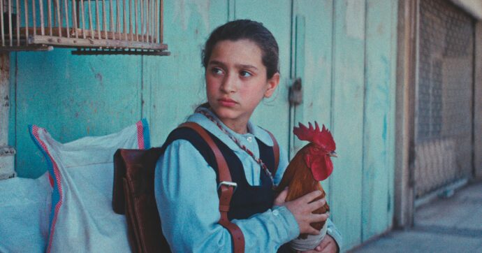 Qui come in Iraq e Iran, i bambini ci (ri)guardano: la recensione de ‘’La torta del presidente’’ di Hasan Hadi