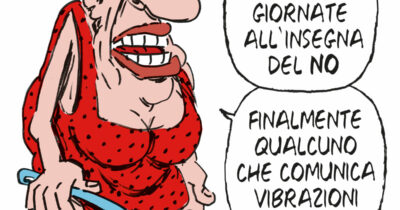 Copertina di La vignetta di Franzaroli