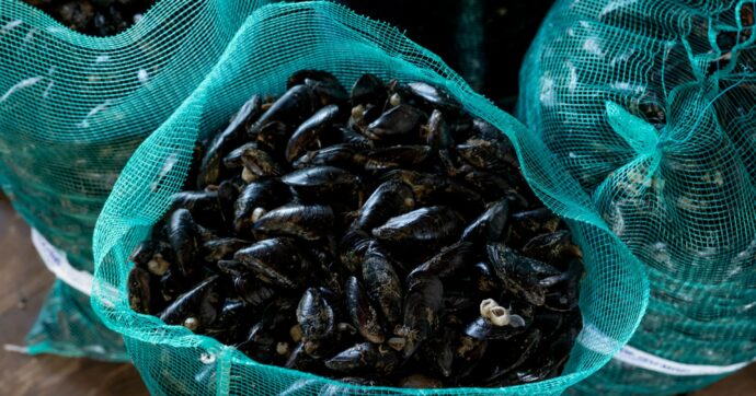 Napoli, allarme epatite: i ricoverati saliti a 53