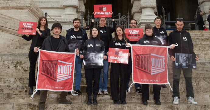 Perché è importante firmare la proposta di legge di iniziativa popolare contro l’allevamento in gabbia in Italia