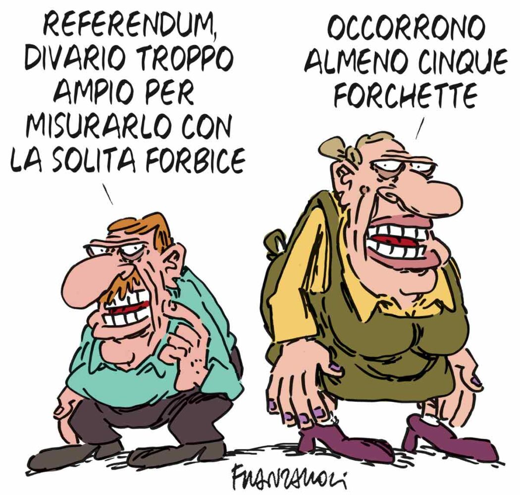 La vignetta di Franzaroli