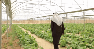 Copertina di Acqua in Cisgiordania, Oxfam: “Così gli insediamenti dei coloni israeliani e le confische prosciugano le terre dei palestinesi”