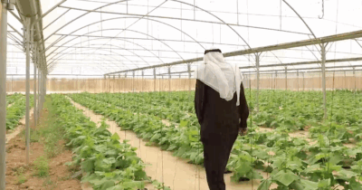 Copertina di Acqua in Cisgiordania, Oxfam: “Così gli insediamenti dei coloni israeliani e le confische prosciugano le terre dei palestinesi”