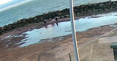 Copertina di Madre e figlia affondano nella sabbia della laguna: salve per un soffio. La giornata al mare trasformata in incubo – Video