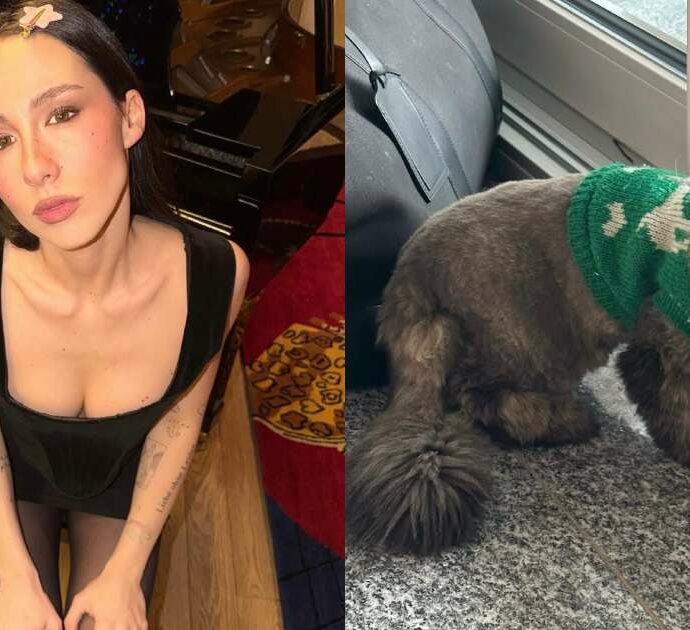 “Dopo sette anni con me ha detto basta, mi ha abbandonata. Ha deciso di vivere dai vicini, il mio atto d’amore è lasciarla andare”: Aurora Ramazzotti e la nuova vita della gatta Saba