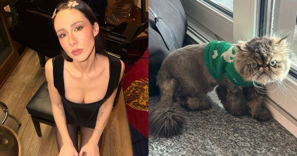 “Dopo sette anni con me ha detto basta, mi ha abbandonata. Ha deciso di vivere dai vicini, il mio atto d’amore è lasciarla andare”: Aurora Ramazzotti e la nuova vita della gatta Saba