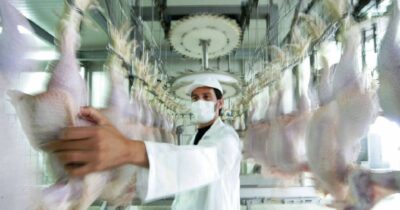 Copertina di Lombardia, primo caso  di aviaria su un uomo