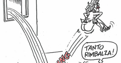 Copertina di La vignetta di Vauro