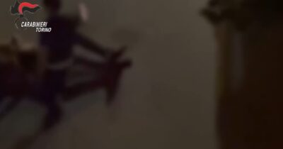 Copertina di Aggressione e rapina con taser a Torino, incastrati dalle telecamere di videosorveglianza: quattro arresti