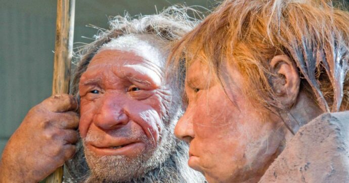 Ecco il Masripithecus – scoperto in Egitto un fossile di 18 milioni di anni che riscrive la storia dell’evoluzione