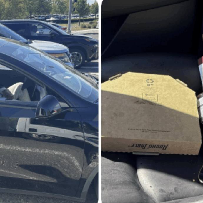 La sua Tesla scorrazza per le vie della città, lui dorme al volante ubriaco e sotto effetto di marijuana: la scena che si trova davanti la polizia non lascia spazio a dubbi
