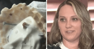 Copertina di Mangia un gelato con dentro dei chiodi e senza accorgersene ne ingoia uno: “Pensavo fosse una noce, ho subito danni permanenti a collo, testa, sistema nervoso”. Risarcita per 14 milioni