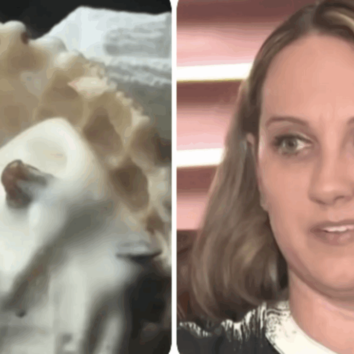 Mangia un gelato con dentro dei chiodi e senza accorgersene ne ingoia uno: “Pensavo fosse una noce, ho subito danni permanenti a collo, testa, sistema nervoso”. Risarcita per 14 milioni