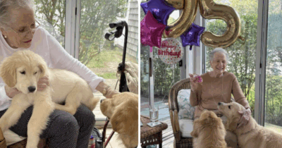 Copertina di A 95 anni diventa una star dei social assieme ai suoi cani: “Io influencer? Mi mette a disagio, sono solo una nonna che vuole bene ai suoi nipoti pelosi”. La storia di Rosalie Julian