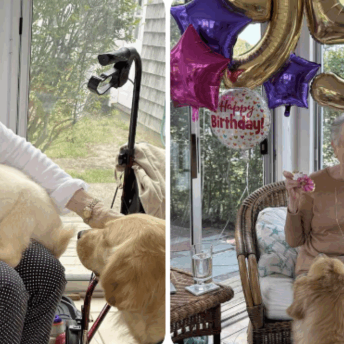 A 95 anni diventa una star dei social assieme ai suoi cani: “Io influencer? Mi mette a disagio, sono solo una nonna che vuole bene ai suoi nipoti pelosi”. La storia di Rosalie Julian