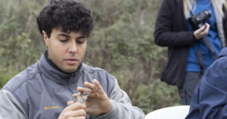 Copertina di Davide Taurozzi, volontario Lipu, e la salvaguardia del fratino: “Nidificano sulle nostre spiagge, attenti a liberare i cani”