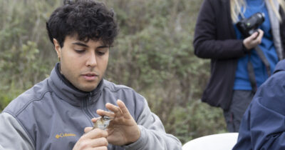 Copertina di Davide Taurozzi, volontario Lipu, e la salvaguardia del fratino: “Nidificano sulle nostre spiagge, attenti a liberare i cani”