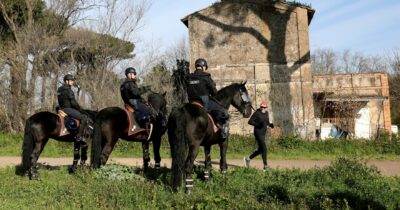 Copertina di Decreto sicurezza, 91 “accompagnati” per un funerale: al pm le notizie solamente a voce