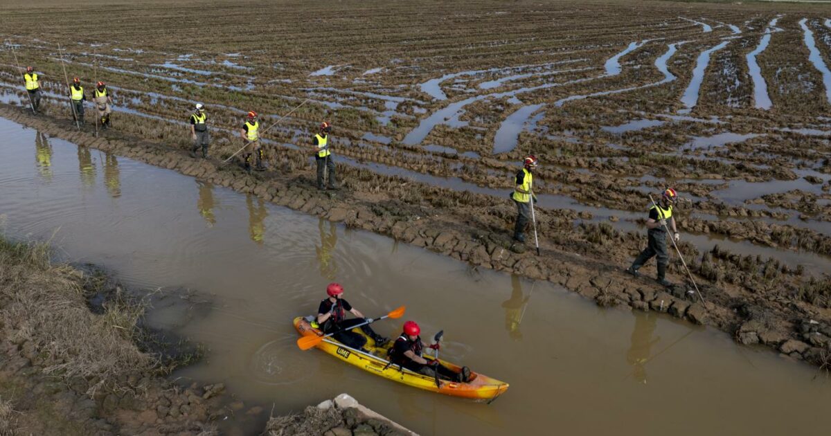 Salute e ambiente, l’epidemiologo Vineis: “Il cambiamento climatico funziona da moltiplicatore delle diseguaglianze sociali”