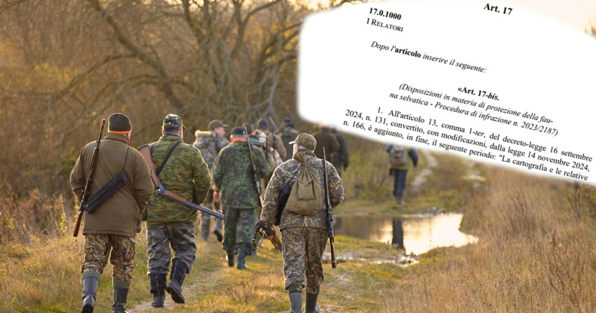 La retromarcia del governo che fa infuriare i cacciatori: divieto di munizioni al piombo in tutte le zone umide per evitare la procedura d’infrazione