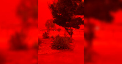 Copertina di Cielo rosso sangue spaventa l’Australia: il ciclone Narelle trasforma l’atmosfera in apocalittica – Video