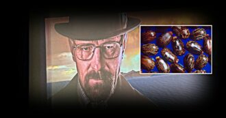 Cos’è la ricina, sostanza letale per madre e figlia morte a Campobasso e “famosa” grazie alla serie “Breaking Bad”