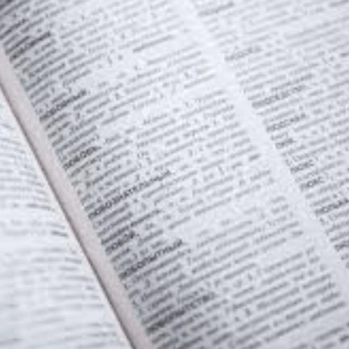 “Rischia di diventare un dialetto”: il futuro dell’italiano è a rischio secondo l’Accademia della Crusca