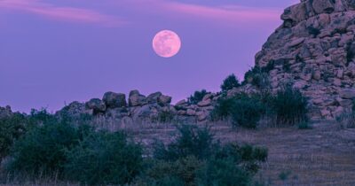 Copertina di Luna Rosa del 1 aprile 2026, ecco quando e come vederla: “Sarà rivelatoria, è un momento di resa dei conti. Se vi hanno fatto un torto, dovranno confrontarsi con le conseguenze”