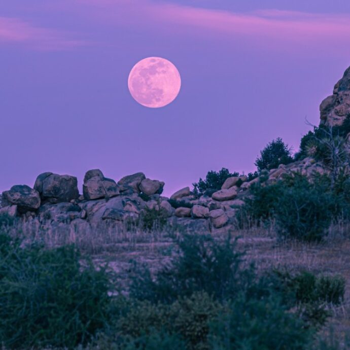 Luna Rosa del 1 aprile 2026, ecco quando e come vederla: “Sarà rivelatoria, è un momento di resa dei conti. Se vi hanno fatto un torto, dovranno confrontarsi con le conseguenze”