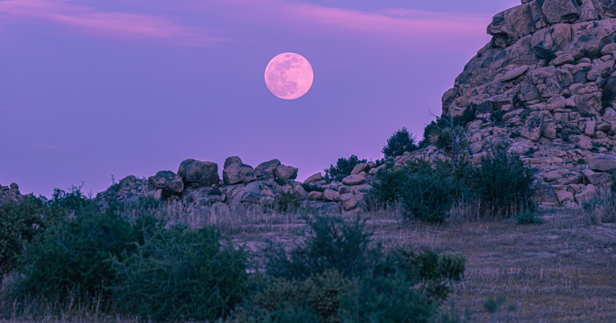 Luna Rosa del 1 aprile 2026, ecco quando e come vederla: “Sarà rivelatoria, è un momento di resa dei conti. Se vi hanno fatto un torto, dovranno confrontarsi con le conseguenze”