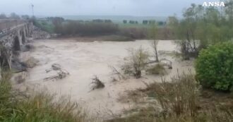 Copertina di Esonda il torrente Cervaro nel Foggiano, automobilisti e persone portate in salvo: le campagne allagate – Video