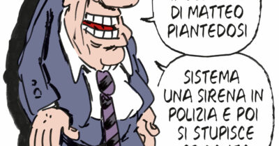 Copertina di La vignetta di Franzaroli