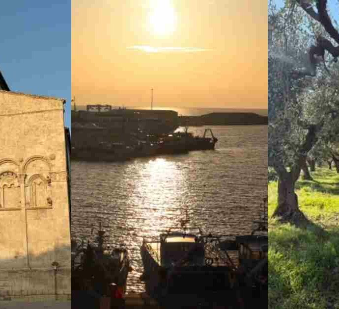 Molise, viaggio nella regione che “non esiste”: da Trivento ad Agnone, tra olio, campane e Tintilia. La nostra guida in una terra che resiste, tra borghi sospesi e antichi saperi