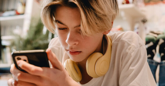 Timori dem: “Sui social finirà come coi coltelli”