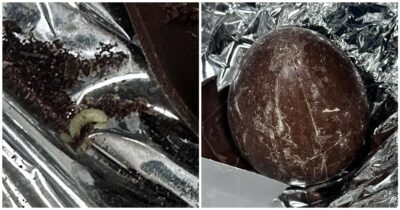 Copertina di Uova di Pasqua piene di vermi al posto della sorpresa, la scoperta choc di un gruppo di studenti in gita: chiusa fabbrica di cioccolato in Irpinia