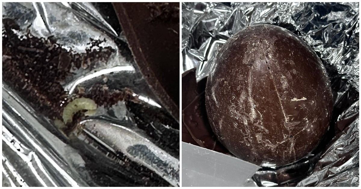 Uova di Pasqua piene di vermi al posto della sorpresa, la scoperta choc di un gruppo di studenti in gita: chiusa fabbrica di cioccolato in Irpinia
