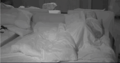 Copertina di “Movimenti sussultori, le lenzuola volavano a due metri. Se voi avete dormito, io sono Monica Bellucci”: cosa è successo nella notte al Grande Fratello