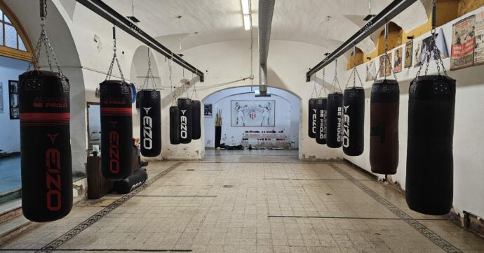Viaggio al centro della palestra Audace, dove la boxe è storia: tra locandine di film e il ring dei Giochi di Roma 1960
