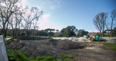 Copertina di Taglio degli alberi di Roma, il presidente del Gruppo di Intervento Giuridico: “Una gestione sconcertante”