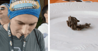 Copertina di “Mi sono ritrovato una tarantola morta nel piatto”, “Hanno dovuto farmi un’iniezione nel gluteo”, “I presagi oscuri c’erano già all’inizio”: il lussuoso ritiro aziendale si trasforma in un incubo