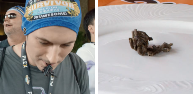 “Mi sono ritrovato una tarantola morta nel piatto”, “Hanno dovuto farmi un’iniezione nel gluteo”, “I presagi oscuri c’erano già all’inizio”: il lussuoso ritiro aziendale si trasforma in un incubo