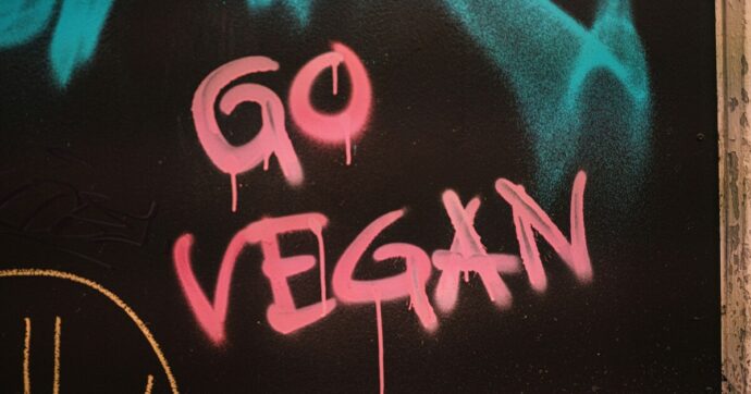 Lo scrittore e regista inglese Ed Winters: “Vi spiego come restare vegani in un mondo carnivoro”