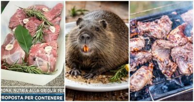 Copertina di “Grigliata di nutrie per Pasquetta? Non si fanno i vaccini ma mangiano i topi”: l’ira di Matteo Bassetti dopo quanto successo a Gerre de’ Caprioli