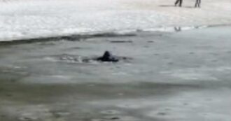 Copertina di “Il ghiaccio ha ceduto sotto i nostri piedi”: paura al lago per i turisti che finiscono nell’acqua gelida – IL VIDEO