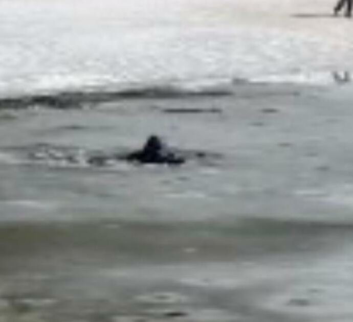 “Il ghiaccio ha ceduto sotto i nostri piedi”: paura al lago per i turisti che finiscono nell’acqua gelida – IL VIDEO