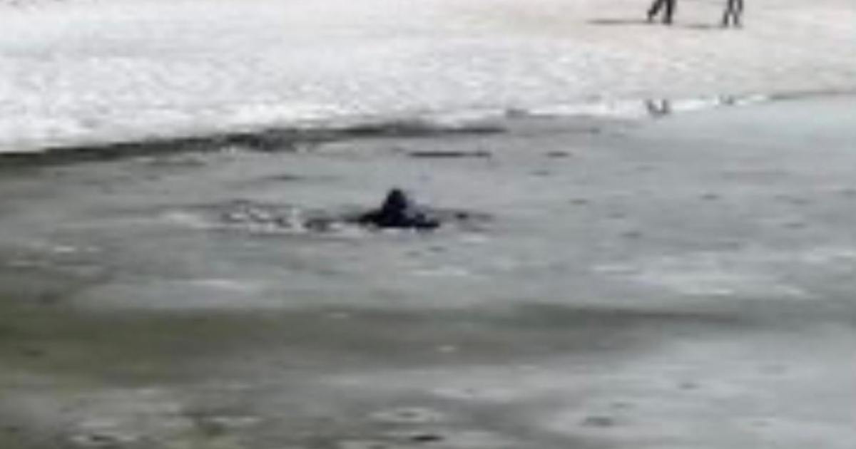 “Il ghiaccio ha ceduto sotto i nostri piedi”: paura al lago per i turisti che finiscono nell’acqua gelida – IL VIDEO
