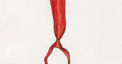 Copertina di La vignetta di Mannelli