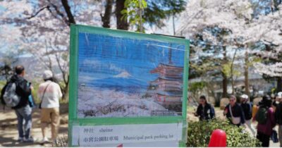 Copertina di “Il paesaggio pittoresco minaccia la vita tranquilla dei cittadini”: così il Giappone dice stop al festival dei ciliegi
